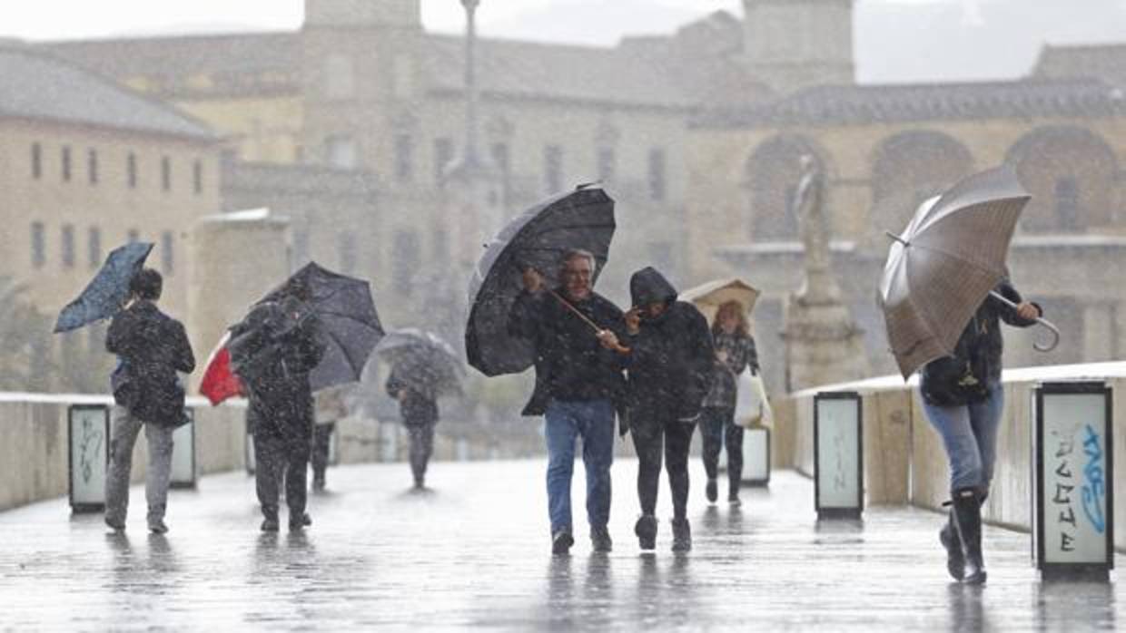 Personas que paraguas en el Puente Romano
