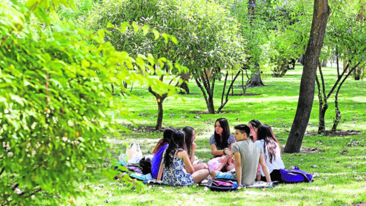 Unos jóvenes en el Parque Cruz Conde de Córdoba