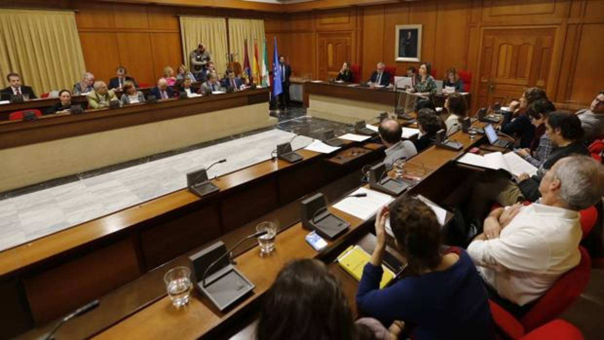 Pleno en el Ayuntamiento de Córdoba