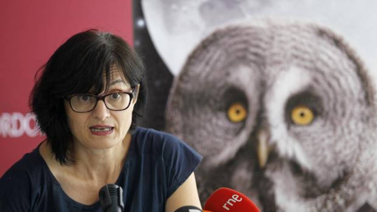 La concejala de Infraestructuras, Amparo Pernichi (PSOE)