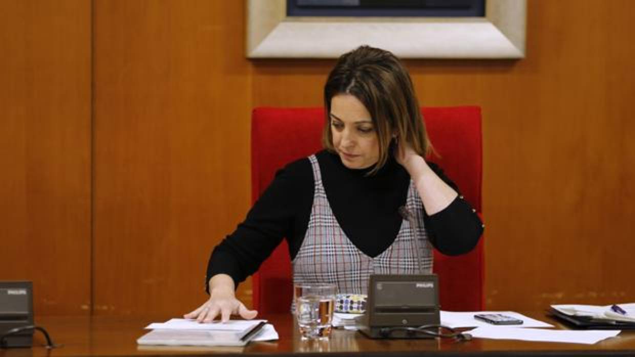 La alcaldesa de Córdoba, en un Pleno municipal
