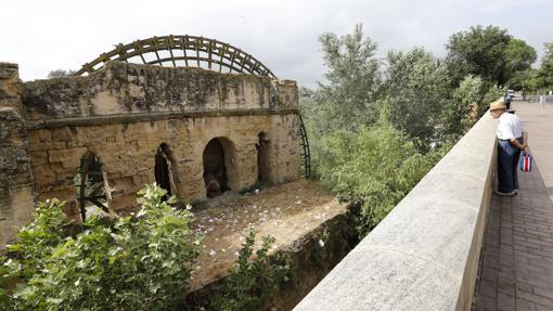 Un paseante contempla el Molino de Kulaib