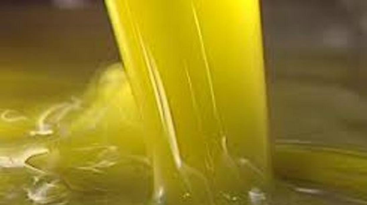 Aceite de oliva producido en una fábrica de Jaén