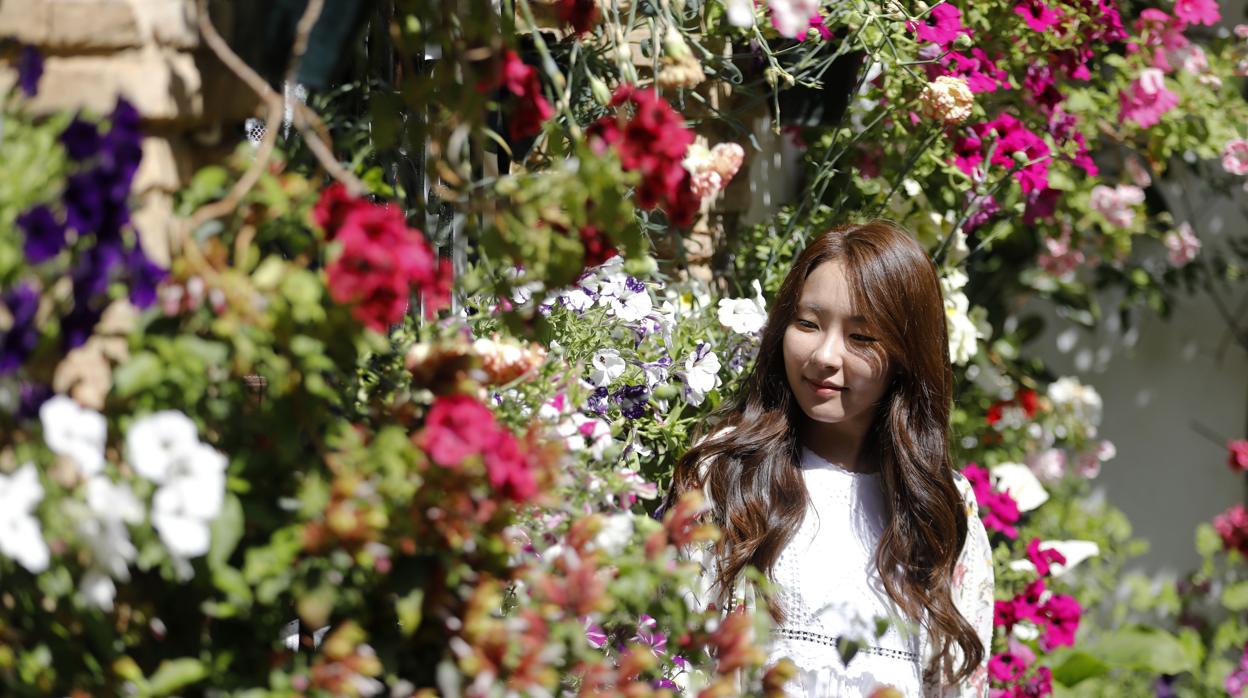 Una turista japonesa disfruta de un patio en la pasada edición de su Festival