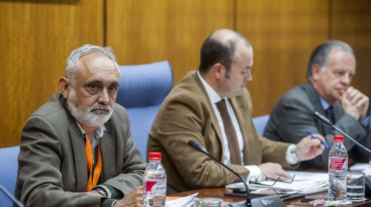 Fernado Villén, en primer termino, durante la comisión de investigación llevada a cabo en el Parlamento andaluz