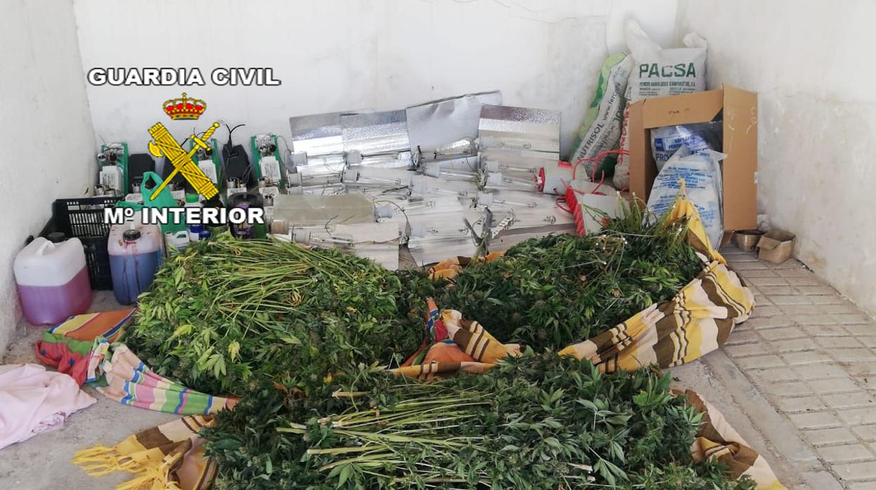 Droga descubierta por la Guardia Civil en una nave del municipio