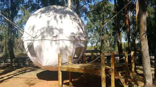 El Cocoon Tree Bed, una novedosa modalidad de alojamiento instalada en este camping