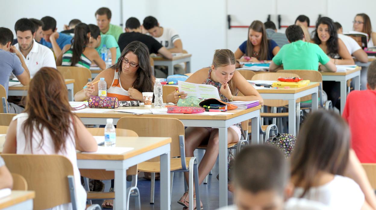 Estudiantes en la biblioteca municipal