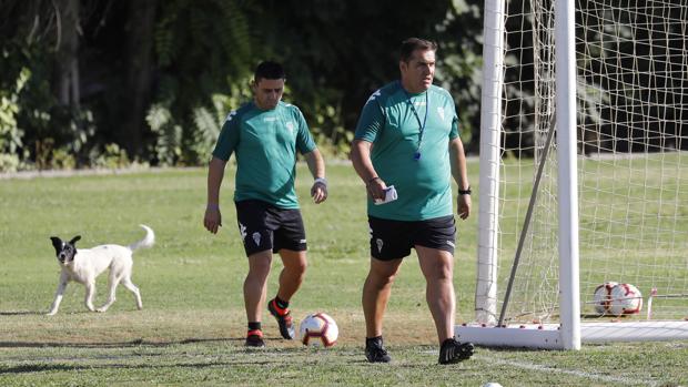 Córdoba CF | Más presión interna para Sandoval