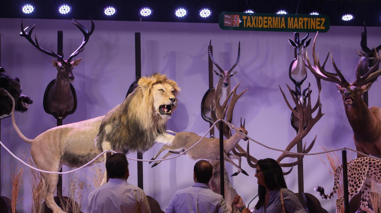 Animales disecados expuestos en la pasada Feria Intercaza de Córdoba