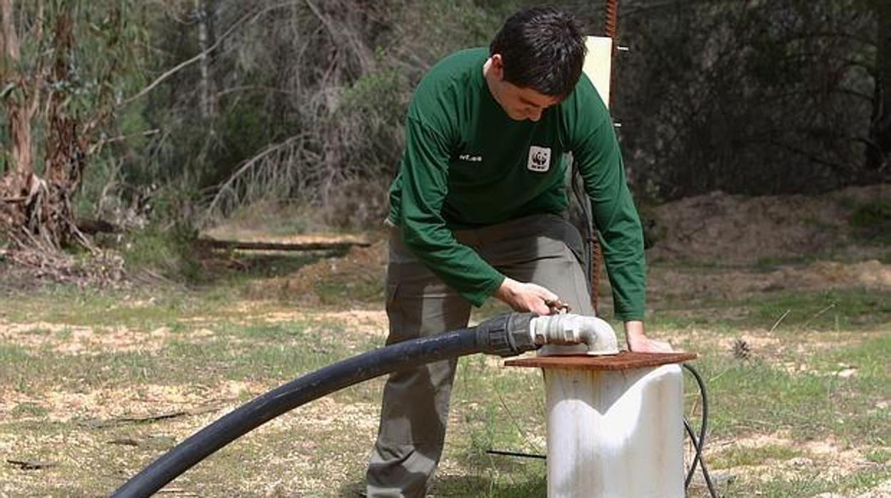 Pozo ilegal en el entorno de Doñana