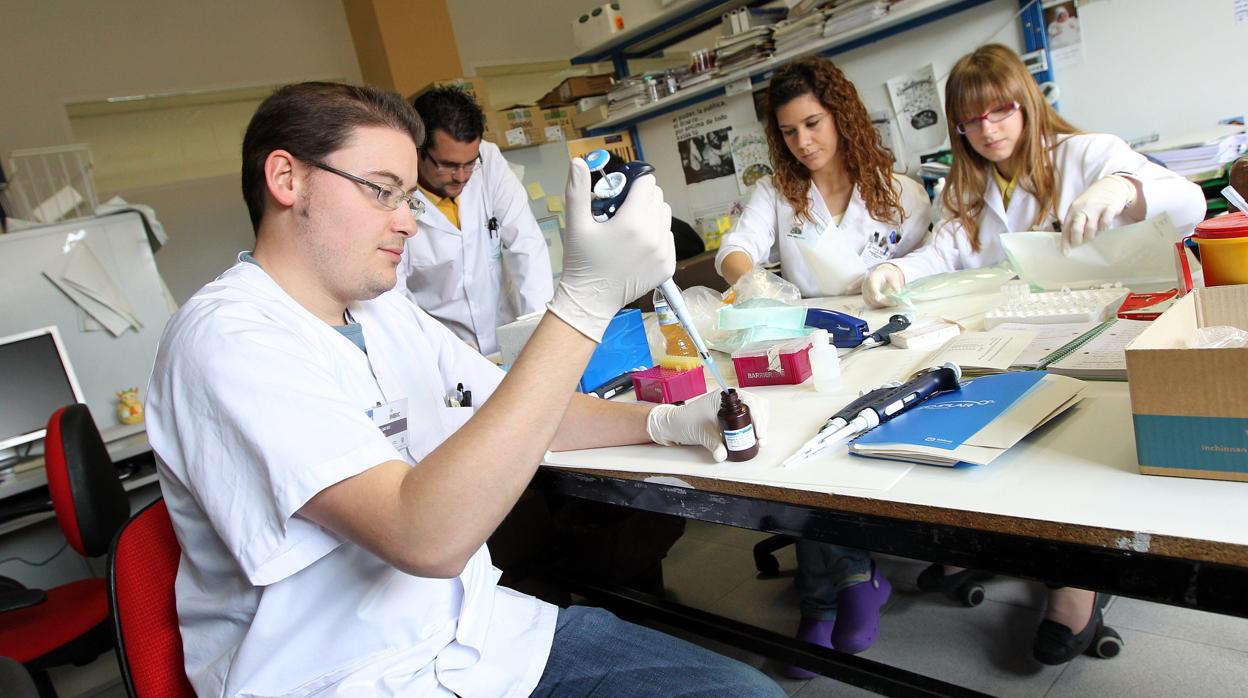 Investigadores del Imibic de Córdoba