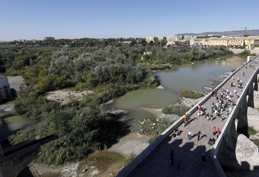 Una de las vistas de los Sotos de la Albolafia