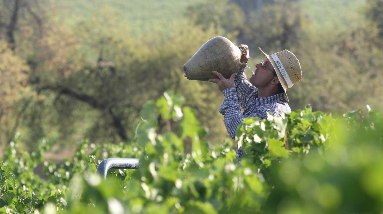La vendimia se dejó notar en la bajada del paro el pasado verano