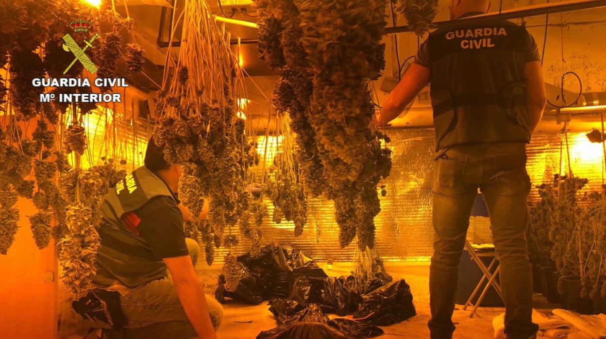 Dos agentes de la Guardia civil en el interior de una de las plantaciones