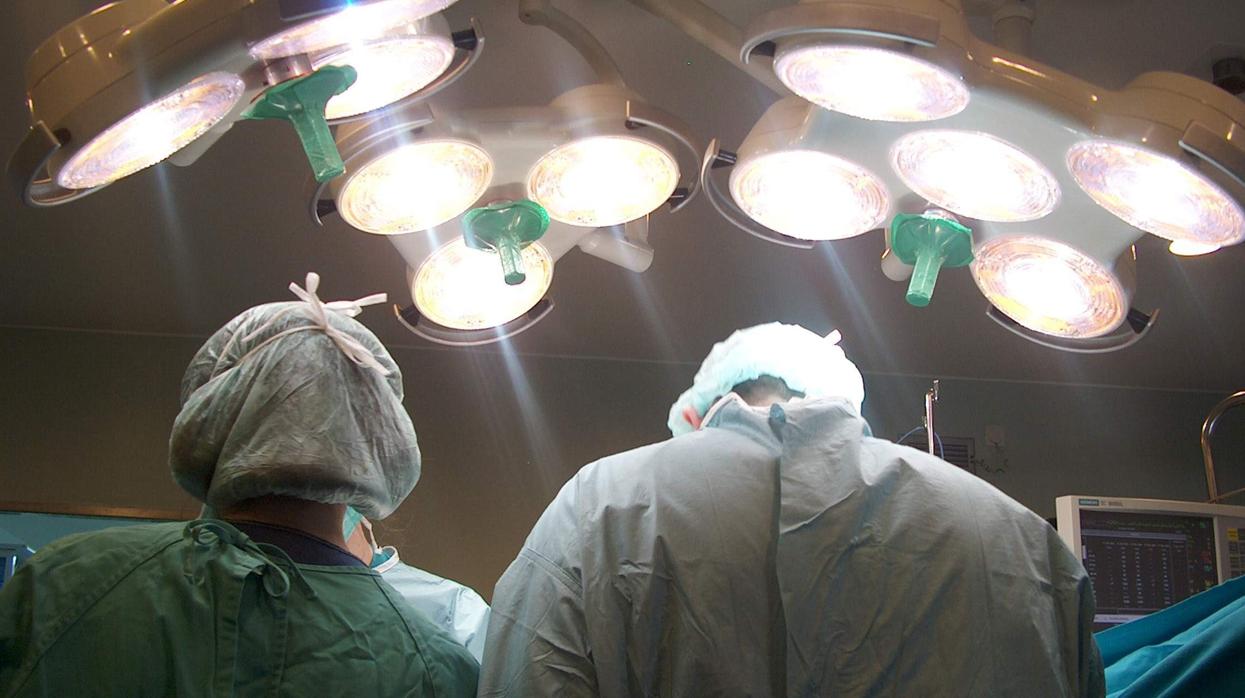 Facultativos durante un transplante