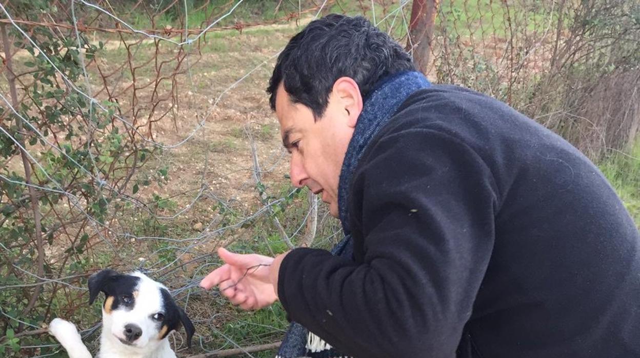 Juanma, durante el rescate al perro atrapado en un lazo de furtivos