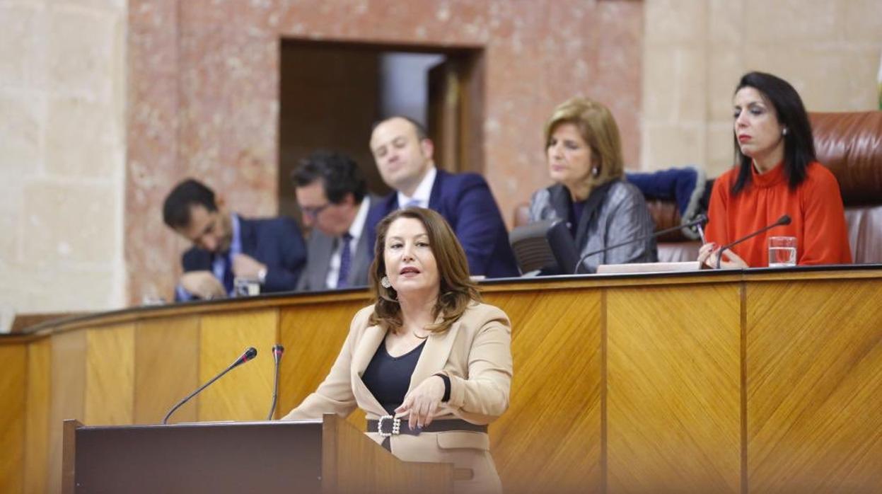 La portavoz parlamentaria del PP, hoy durante la sesión de investidura
