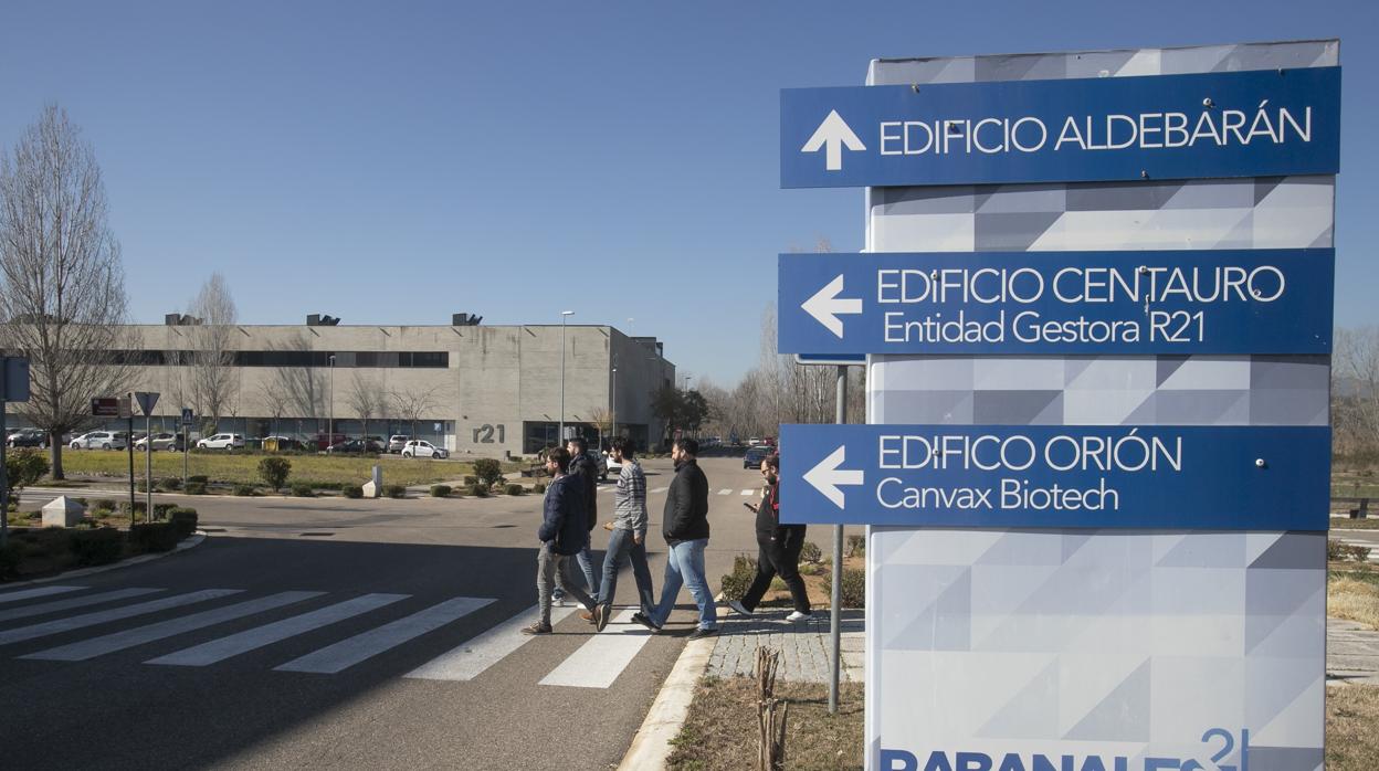 Jóvenes en el parque tecnológico Rabanales 21