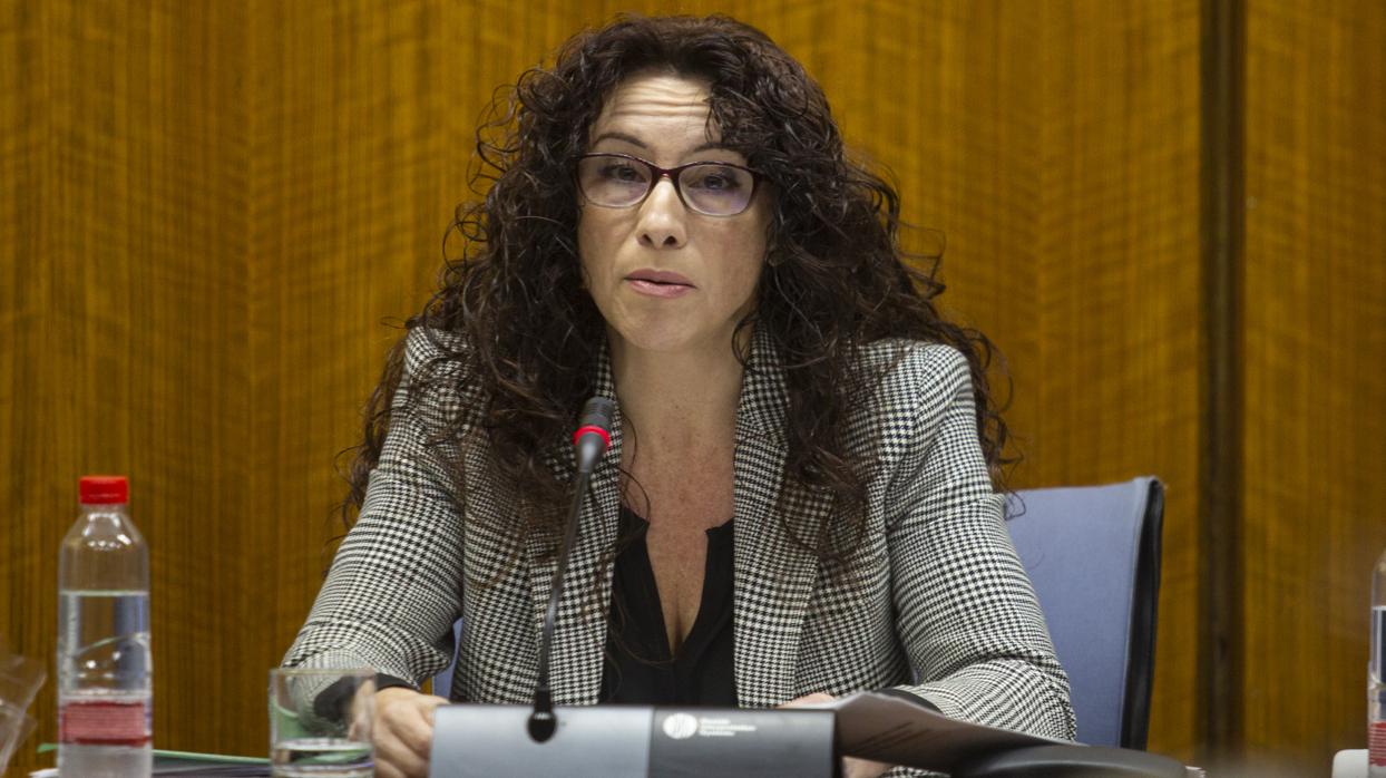 La consejera de Igualdad, Políticas Sociales y Conciliación comparece en comisión parlamentaria