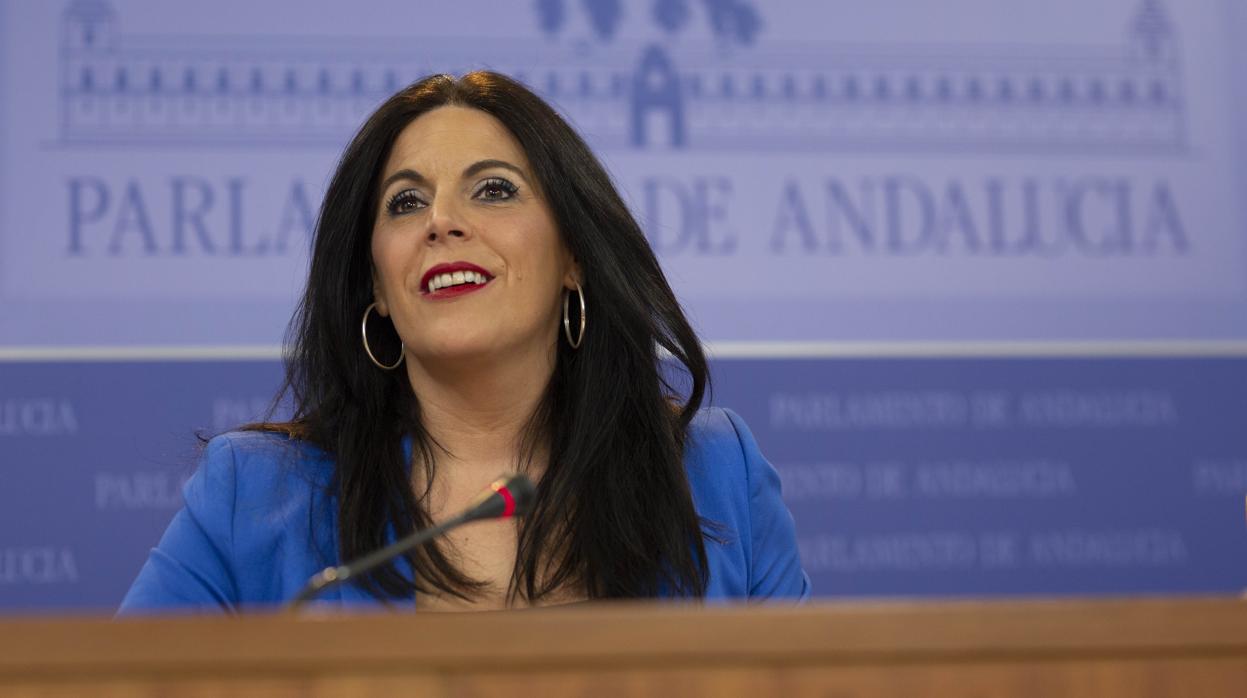 Ángeles Férriz, durante la rueda de prensa en el Parlamento