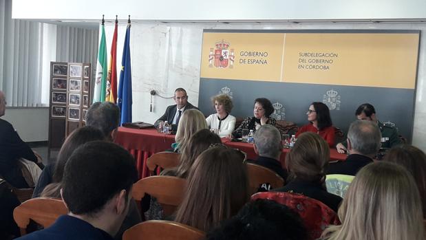 Los ayuntamientos cordobeses tienen luz verde para gastar el presupuesto en violencia de género