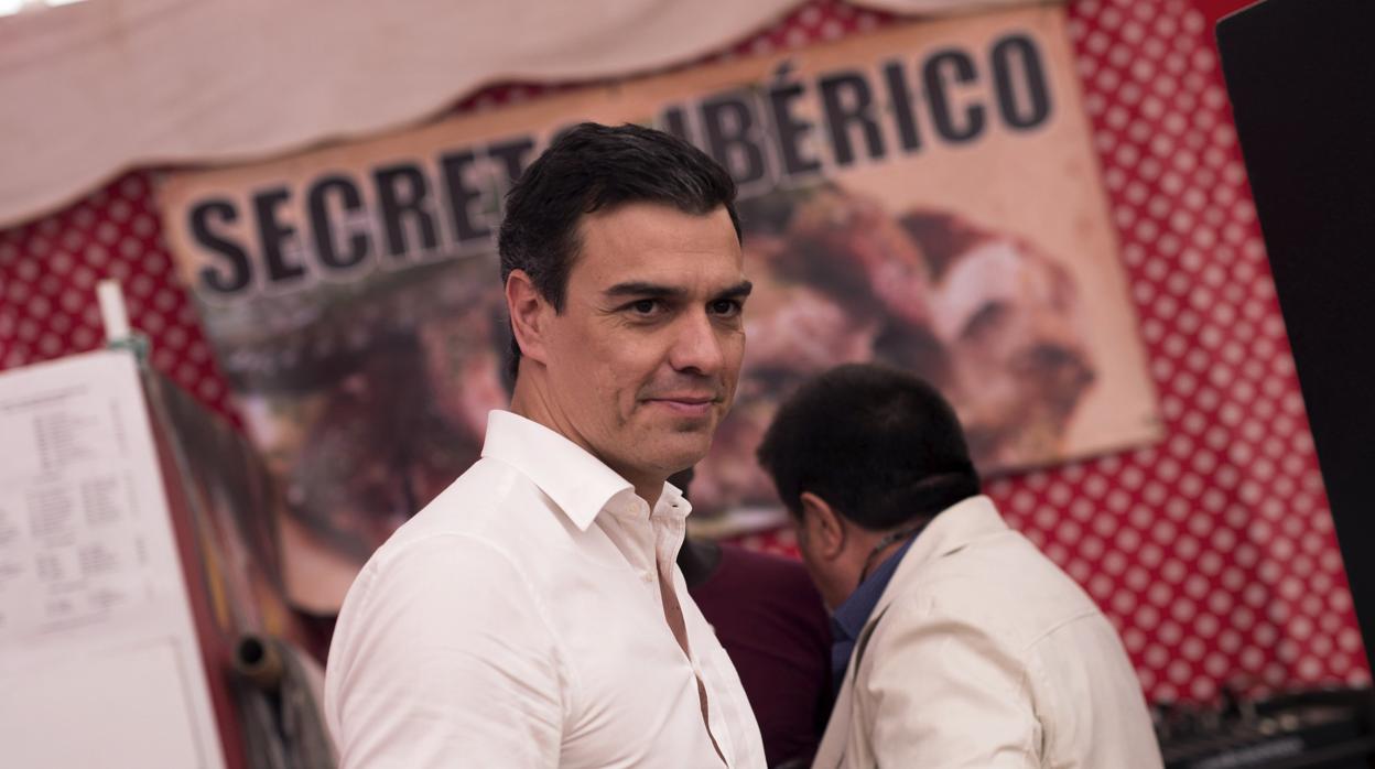 Pedro Sánchez, en su visita a la Feria de Córdoba en 2016