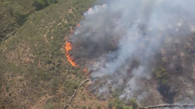 Los incendios de Berrocal y Almonte, bajo control