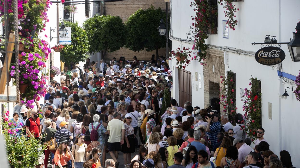 Visitantes de los Patios de Córdoba en la calle San Basilio. En el vídeo, espera en Maese Luis, 9