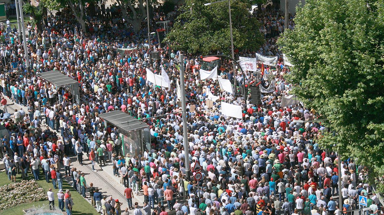Concentración del sector del aceite de oliva en Jaén