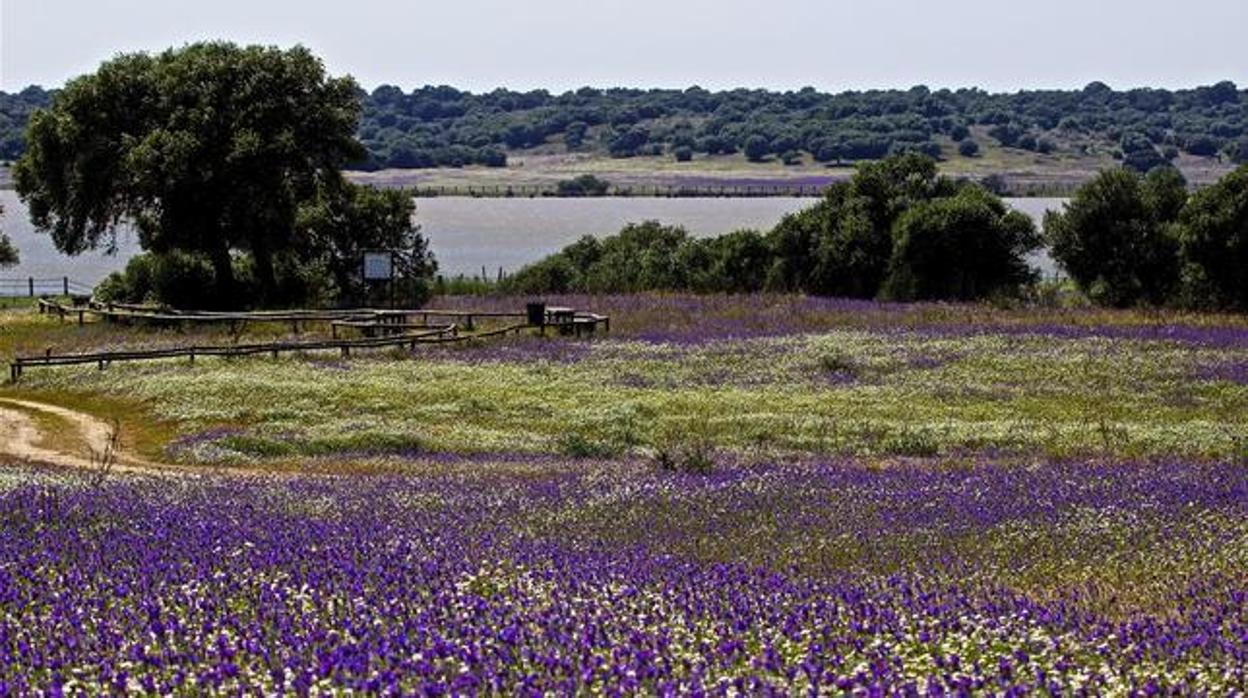 Parque Natural de Doñana
