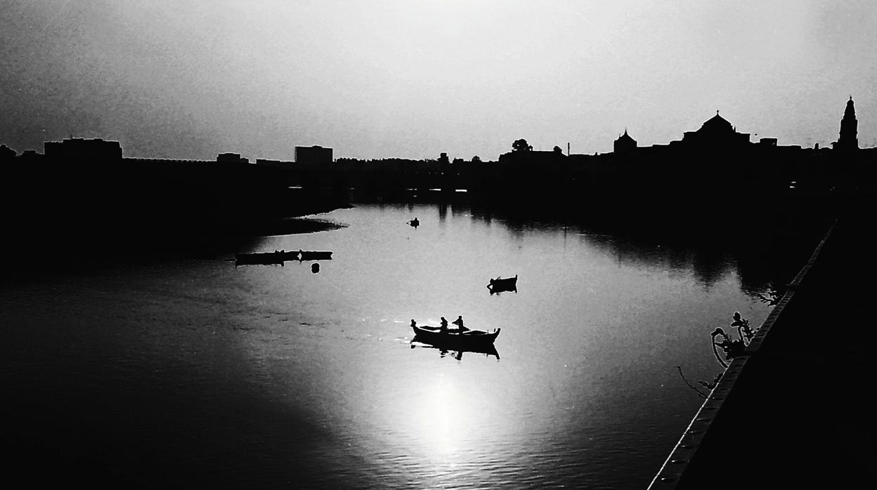 Barcas en el río al atardecer