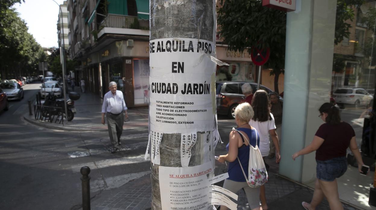 Carteles, ayer en una farola de Ciudad Jardin anunciando alquileres