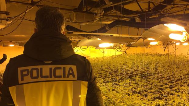 Detenida una persona en Granada acusada de tener 17 plantas de marihuana en el altillo de una cochera