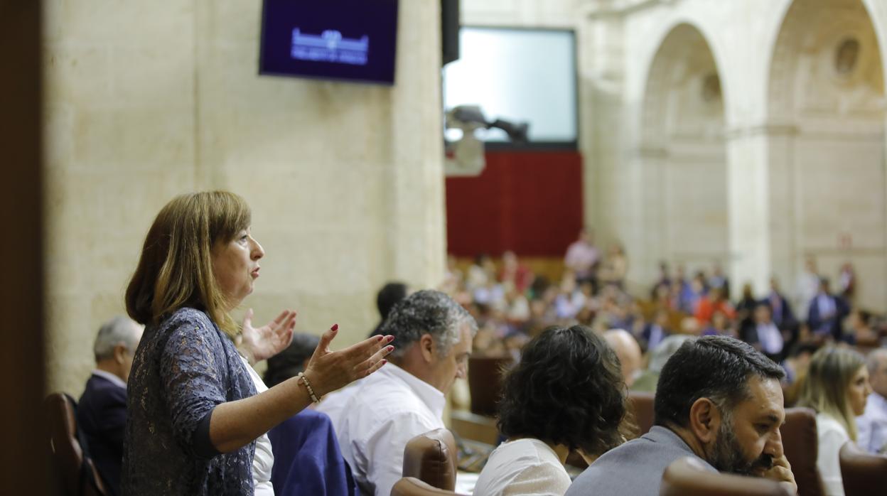 Último debate sobre los Presupuestos en el Parlamento andaluz