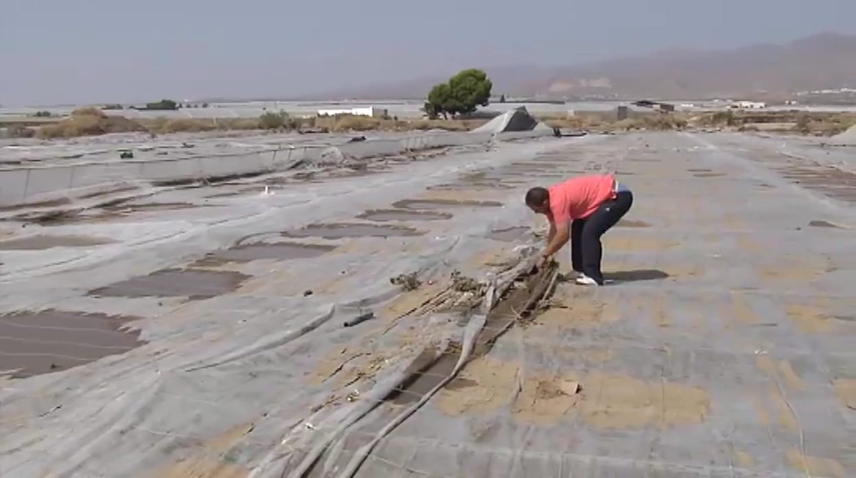 La gota fría acaba con 1.000 hectáreas de invernaderos en Almería