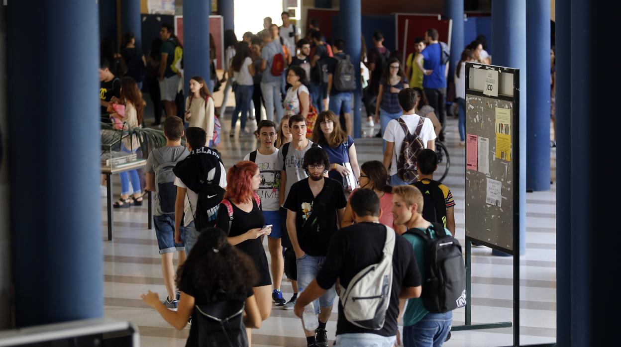 Jóvenes en el Campus Universitario de Rabanales