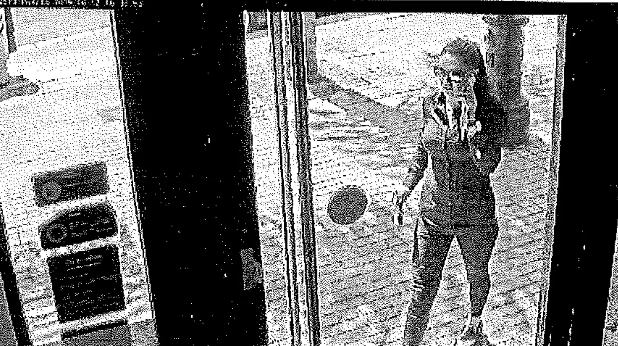 La ultima imagen de Dana con vida la toma una cámara de seguridad del banco junto a su cafetería en Vélez-Málaga a las 16.33 horas del 12 de junio