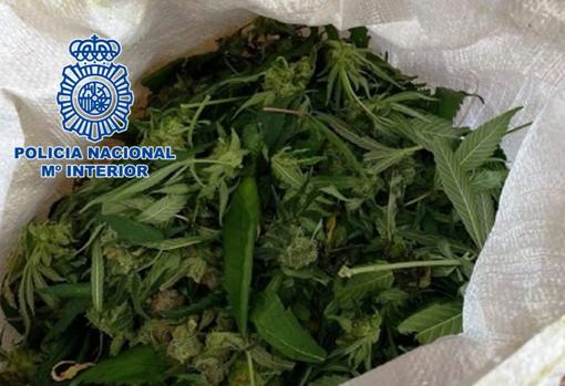 La Guardia Civil detiene en Córdoba a un joven que viajaba en un autobús con siete kilos de marihuana