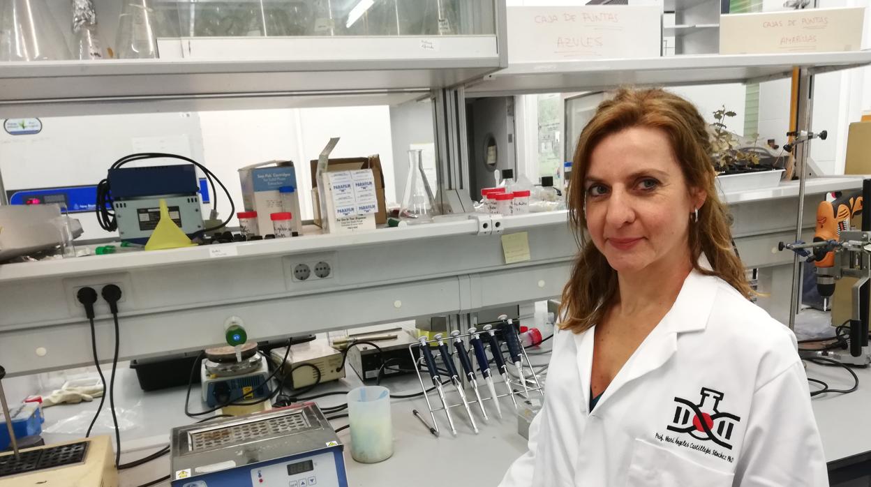 María Ángeles Castillejo