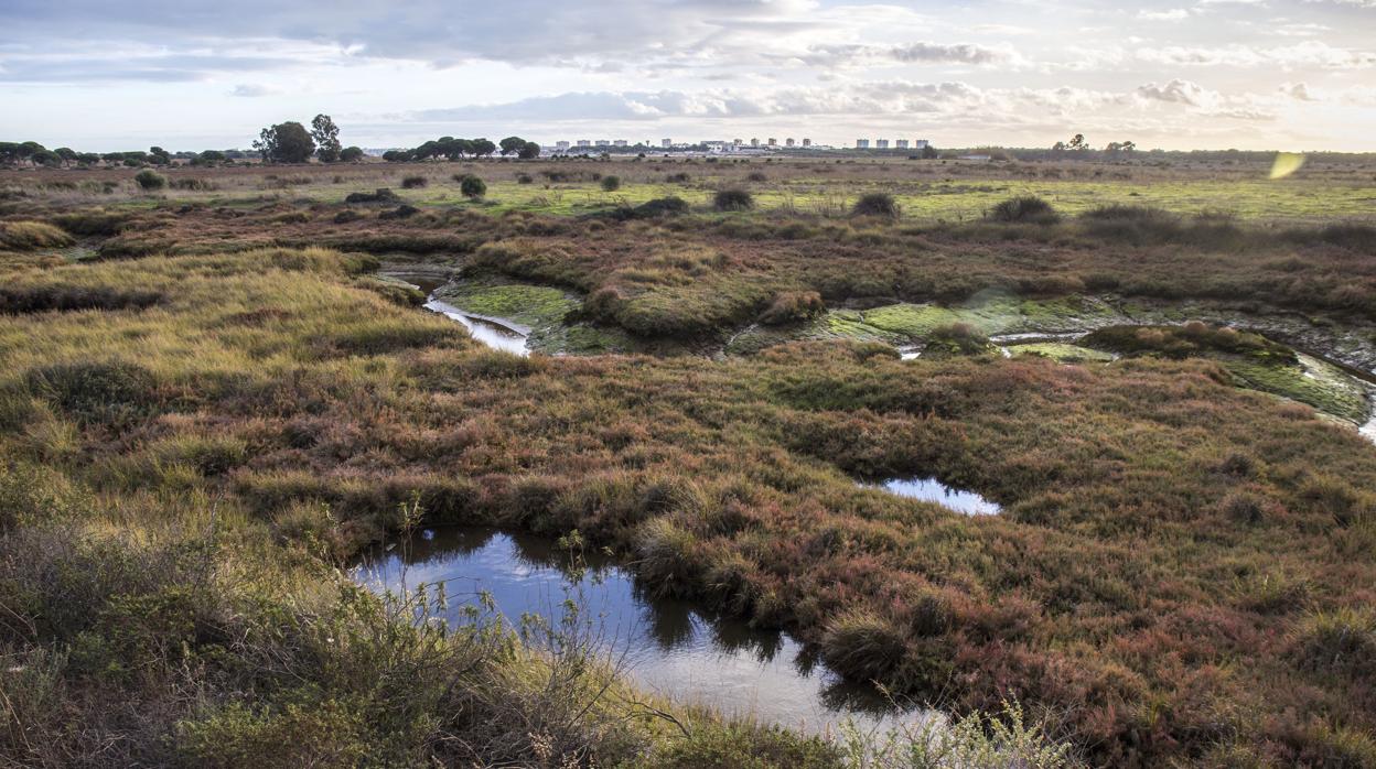 Vista de la Isla Saltés, en Huelva, con Punta Umbría al fondo