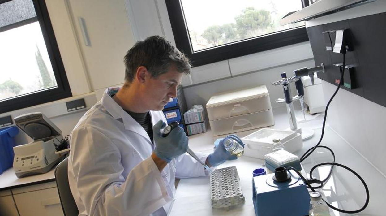 Un investigador del Imibic