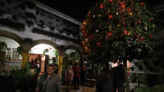 Todo lo que necesitas saber sobre la Navidad en los Patios de Córdoba: horarios, rutas y plano