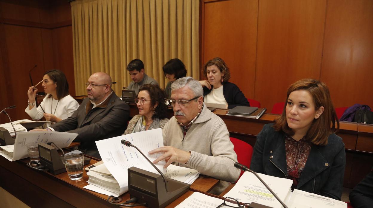 Pleno del Ayuntamiento de Córdoba