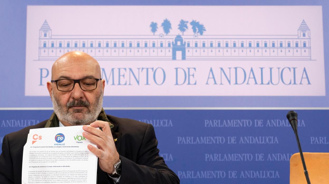 El portavoz de Vox, Alejandro Hernández, este lunes en el Parlamento
