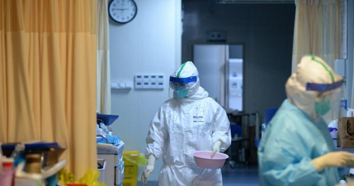 Yolanda Almagro: Devoradores de recursos