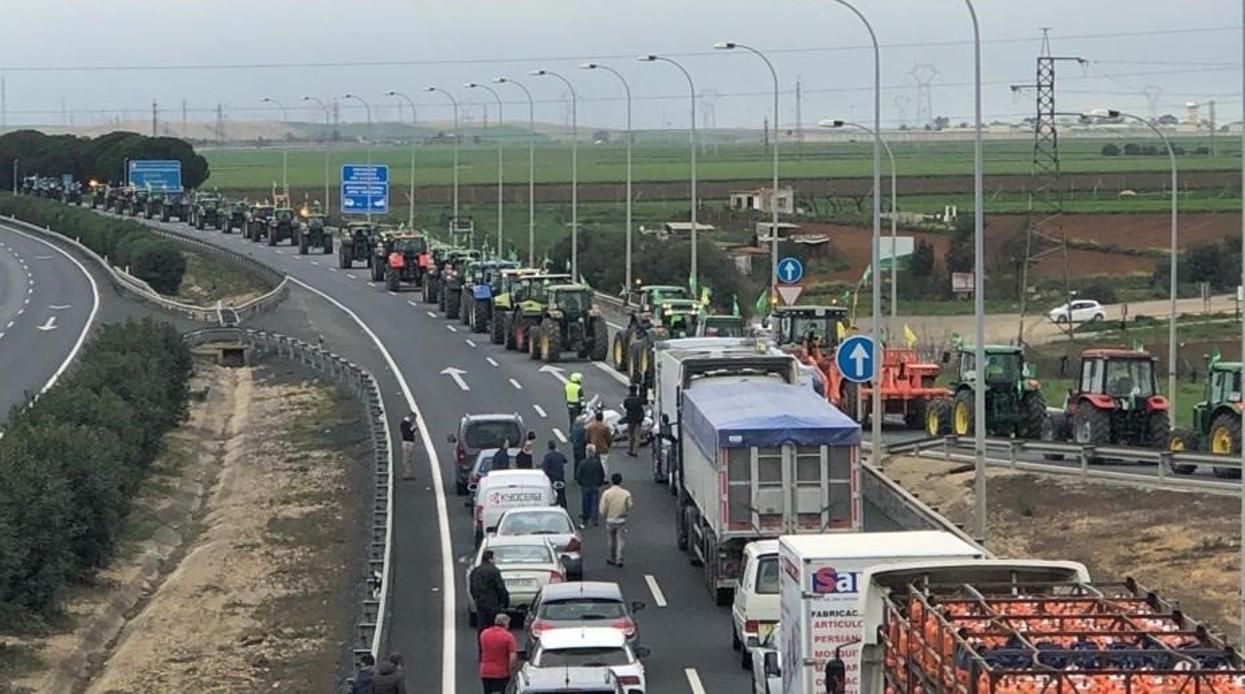 Más de 400 vehículos participan en la tractorada de Huelva de este jueves