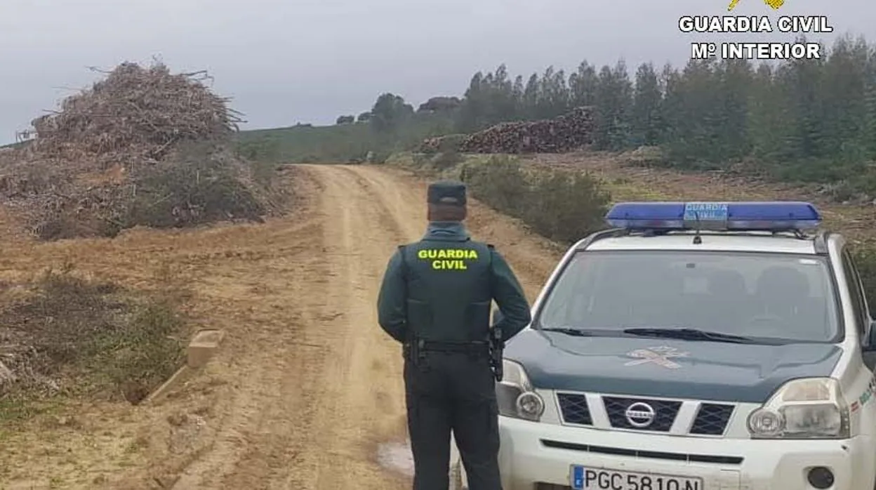 La Guardia Civil a su llegada al monte público de Almonaster la Real (Huelva)