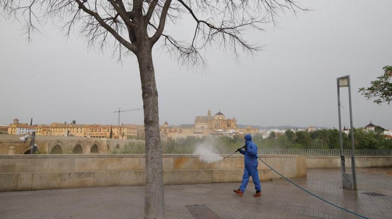 Desinfección en el entorno de la Calahorra en la jornada del jueves
