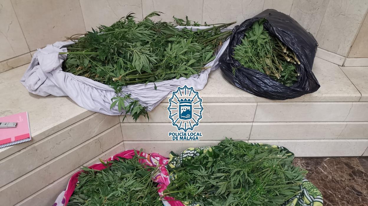 Marihuana incautada dentro del coche en Málaga